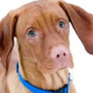 Meet your Posher, Denelle